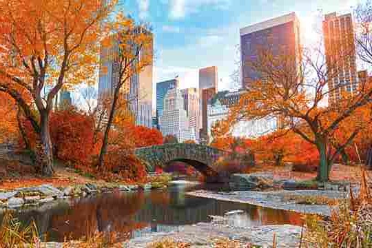 New York Central Park-Autumn - Athena Posters
