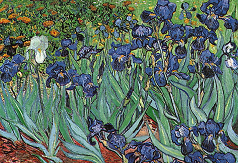 Irises Van Gogh Athena Posters