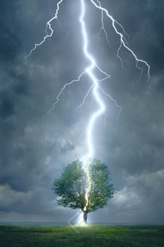 Lightning Striking Tree Athena Posters 