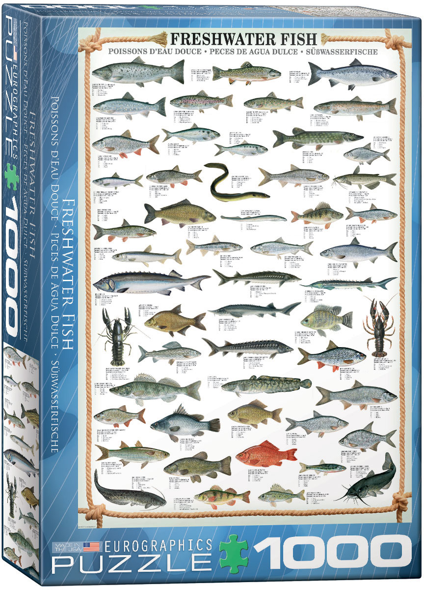 Freshwater Fish 1000 Piece Puzzle - Athena Posters