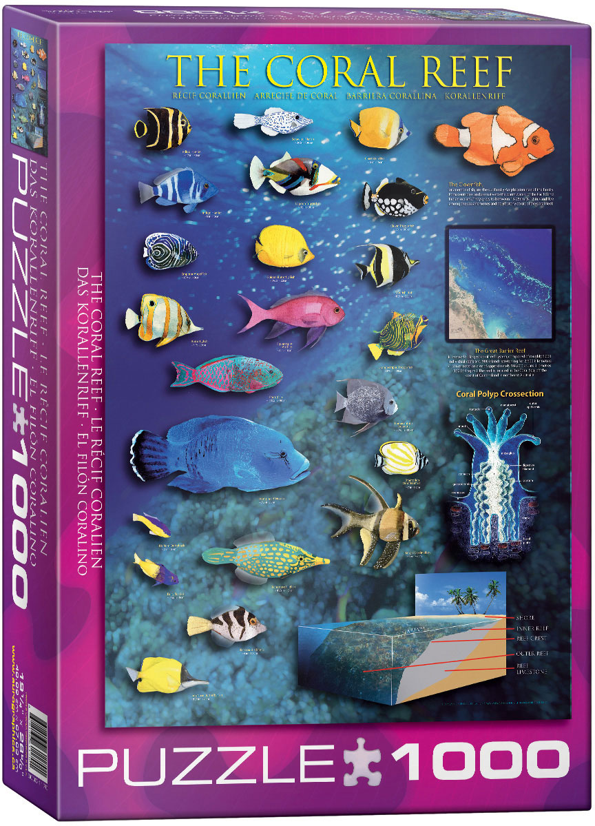 Coral Reef 1000 Piece Puzzle Athena Posters