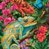 Karma Chameleon - 1000 Piece Puzzle - Image 3