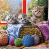 Knittin' Kittens - 1000 Piece Puzzle - Image 2