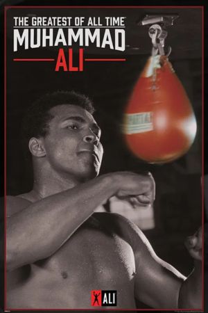 Muhammad Ali - Punching Bag