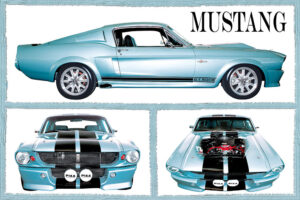 Fabulous Mustangs