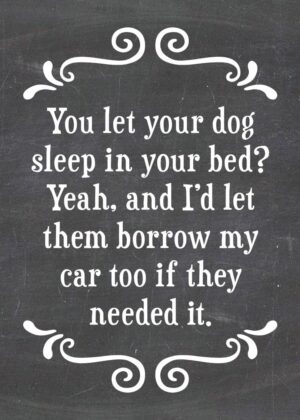 You let your dog sleep in the bed? Yeah, and I'd let them borrow my car if they needed it.-MAGNET