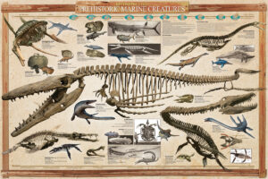 Reconstructed Prehistoric Marine Creatures