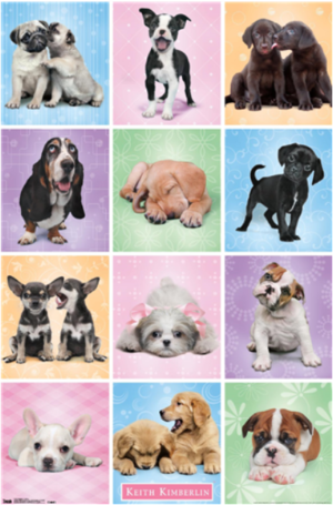 Keith Kimberlin - Puppies - Cuties Grid