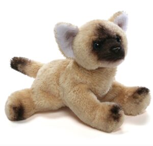 Giffa – CAT – Russ the Ragdoll