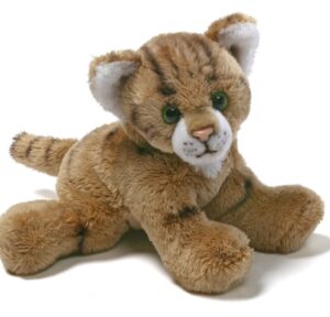 Giffa – CAT – Terry the Ginger Cat