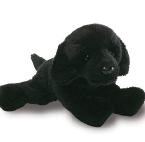 Giffa – DOG – Alfonso the Black Lab