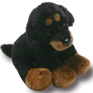 Giffa – DOG – Raymond the Rottweiler