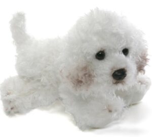 Giffa – DOG – Mei the Bichon