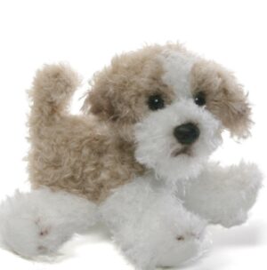 Giffa – DOG – Cindy the Maltipoo