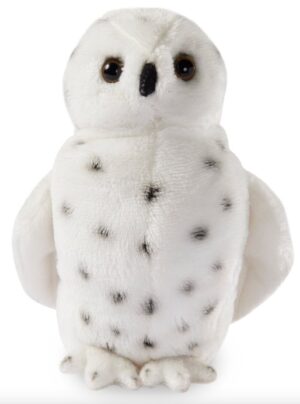 Giffa – FOREST – Oscar the Owl