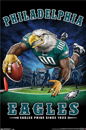 NFL Philadelphia Eagles - End Zone 17