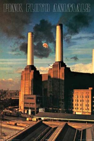 Pink Floyd -Animals